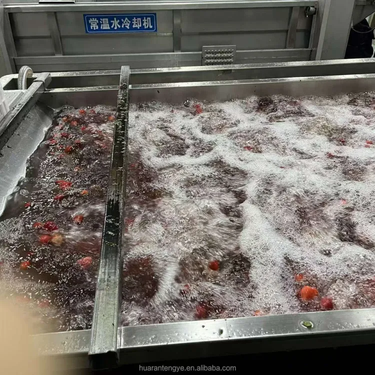 Automatic Frozen Fruit & Vegetable Processing Machines for Fruit Processing Plant-carrot Potato mango Slices Shredding Machine