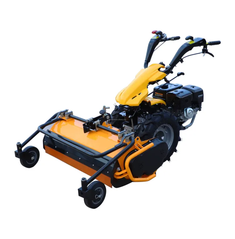BCS Two Wheel Tractor for With Snow Sweeper