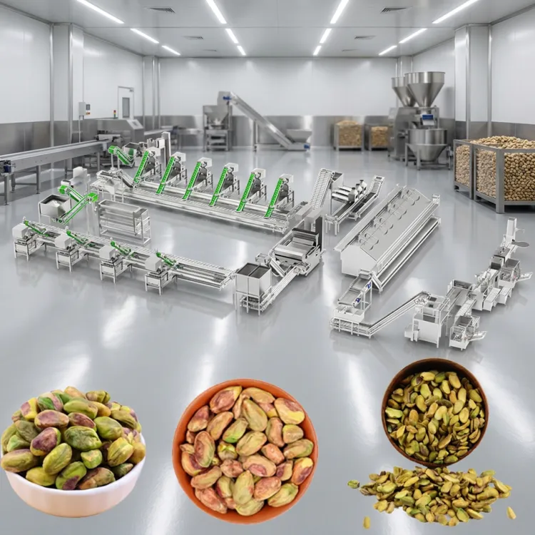 Fully Automatic Turnkey Pistachio Nuts Processing Line Hulling Roasting Sorting Packing Production Equipment