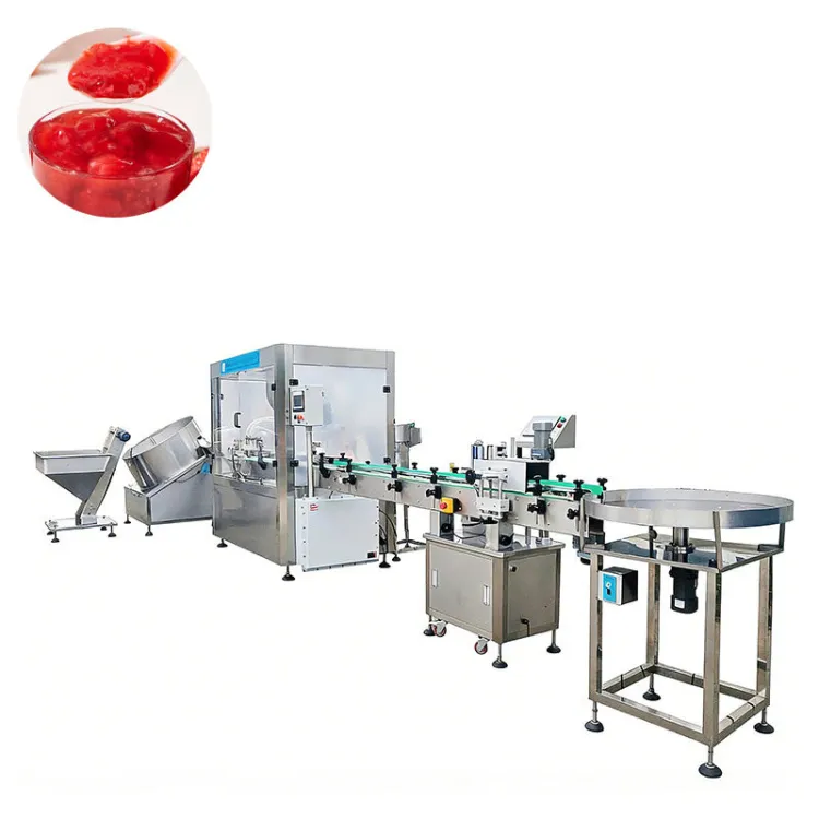 Small Scale Jam Production Line Equipment, for Mango Strawberry Blueberry Jam Processing, Pilot Plant