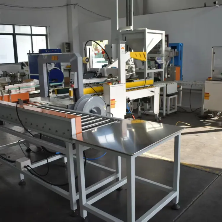Automatic Hardware Filling Packing Sealing and Carton Loading Production Line with PLC Control