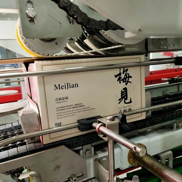 High Speed Carton Packer Water Production Line Linear Wrap Around case Packer Bottle Carton Packing Machine