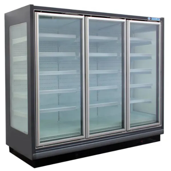 Commercial Refrigerator Glass Door Cold Beverage Fresh Food Showcase Supermarket Retail Upright Display Freezer