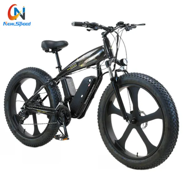 Newspeed 750w - 1000w fat tire e-bike/ beach electric bicycle ebike
