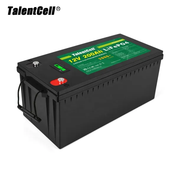 TalentCell New Design High Capacity Deep Cycle Storage Energy System 200Ah BMS LiFePO4