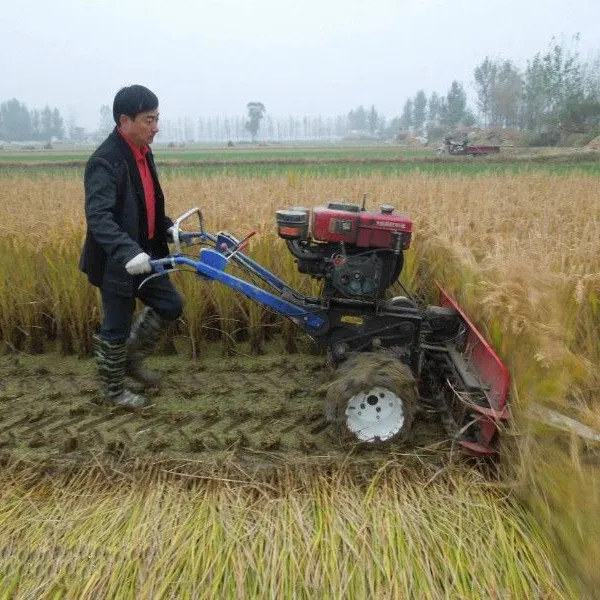 Rice and wheat harvester