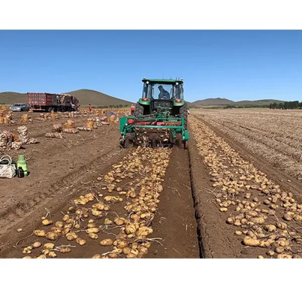 Automatic Potato Digger Harvester: