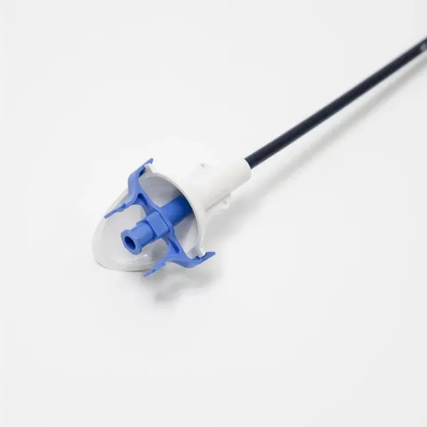FoiNoe Medical Disposable Urological Surgery Hydrophilic Coated Ureteral Access Sheath Surgery Equipment