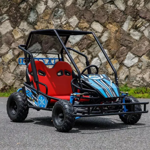 500W 48V20AH Buggy Off Road 2 Seats Buggy Dune Buggy Off Road Go Karts For Adults