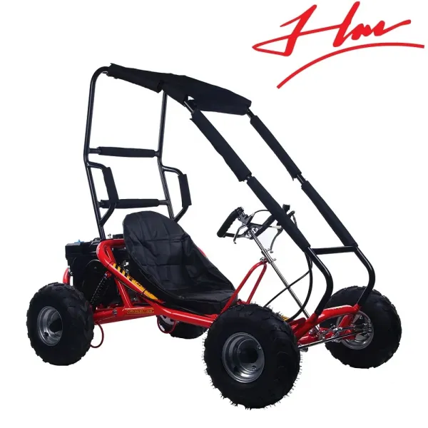 2020 Cheap Gasoline 4 Stroke 200cc Racing Go-Kart, Off-Road Dune Buggy for Adults with CE Certification