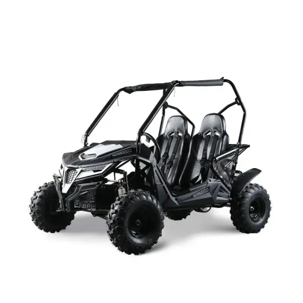 800cc Go-Kart Buggy Off-Road 4x4 Buggy/Gas Powered Go-Kart for Adults Dune Buggies