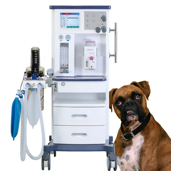 Comprehensive Veterinary Anesthesia Machine Parts Including Surgical Instruments and Breathing Systems