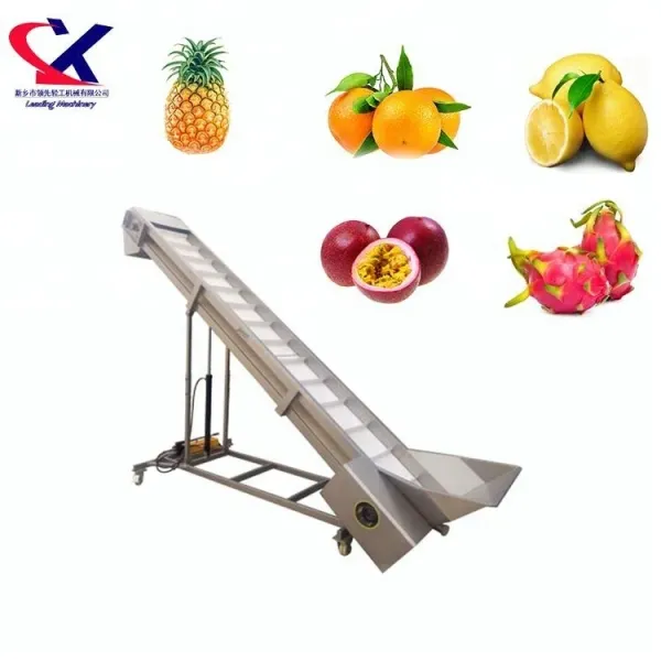 Stainless Steel Fruit Vegetable Scraper Hoist Scraper Elevator
