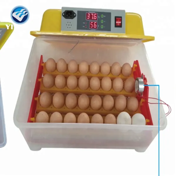 96 Egg Incubator
