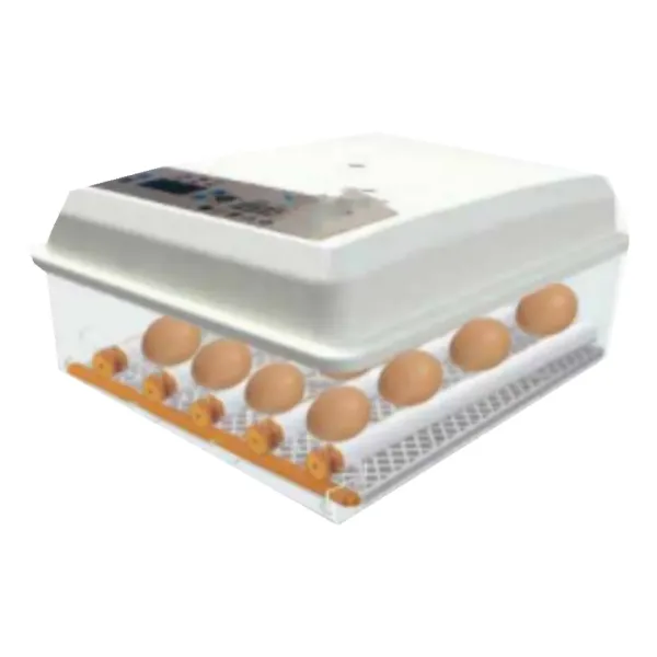 176 Eggs Incubator