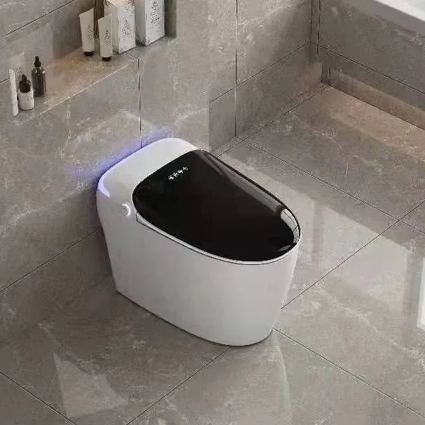 SUNDREAM Automatic flush sensor toilets intelligent smart wc bathroom automatic toilets smart toilet