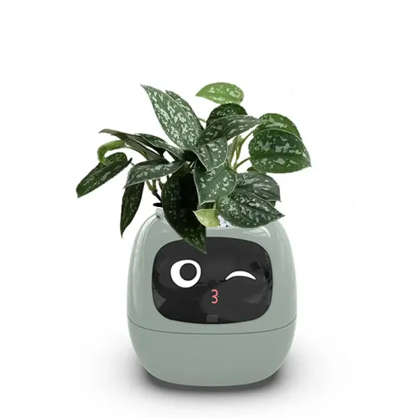 2023 Creative Interaction Mini Smart Garden For Plants