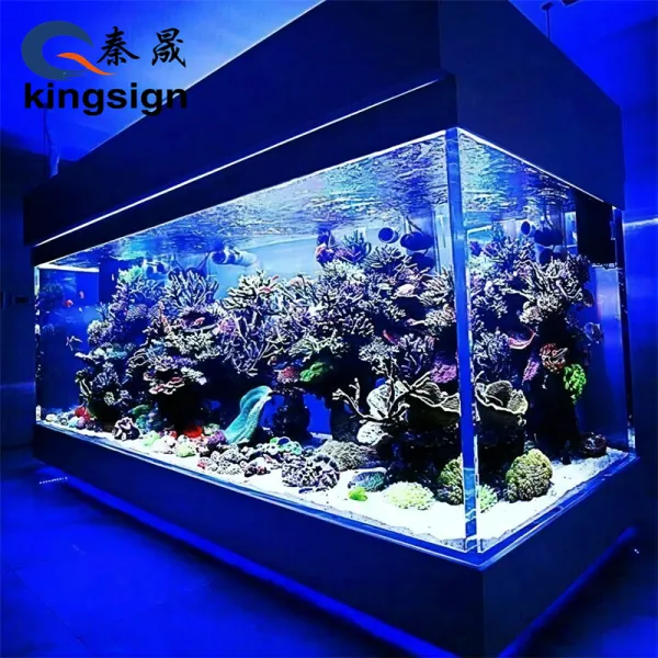 KINGSIGN  huge glass tank jellyfish aquarium high quality acrylic glass tank customized plexiglass tank
