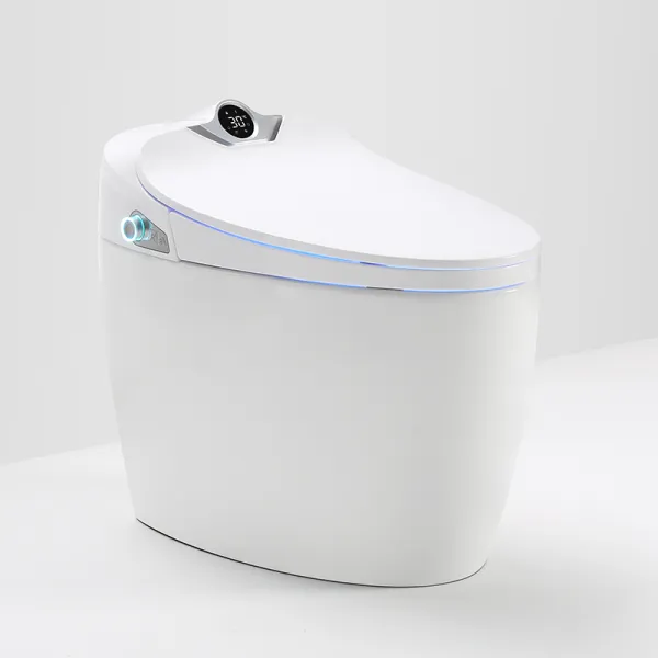 Automatic Intelligent Smart Toilet
