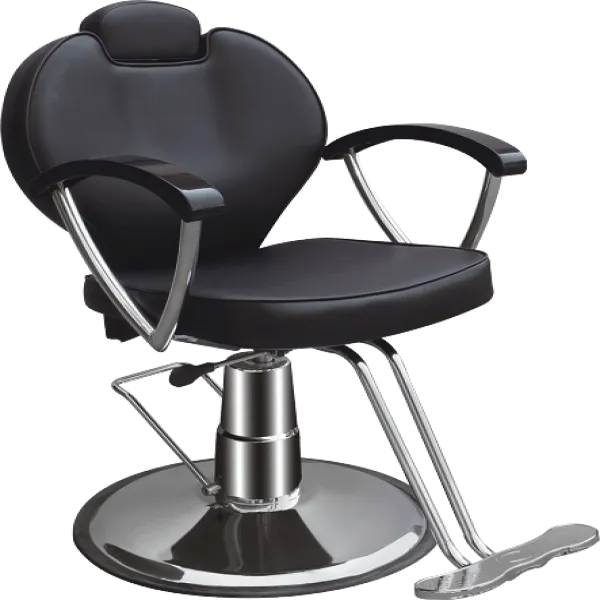 Hair Salon Black Barber Chair