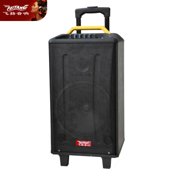 MIC luxury wheels cheap trolley wooden super bass single 12 inch ACTIVE bt MOBILE DJ USB amplifier acoustic audio loud speaker