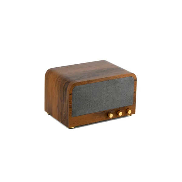 Little boy outdoor subwoofer Rechargeable portable karaoke audio TWS without Bluetooth speaker