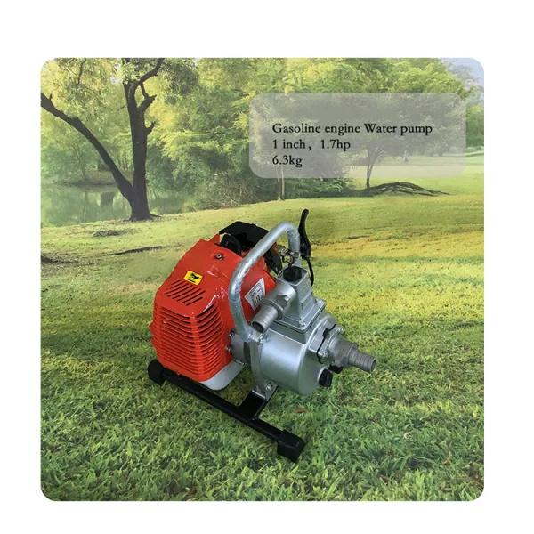 Firefighting Equipment Accessories Gasoline Pump For Irrigation Of Crops Flowers In Farmland Landscaping Water Pump Agriculture