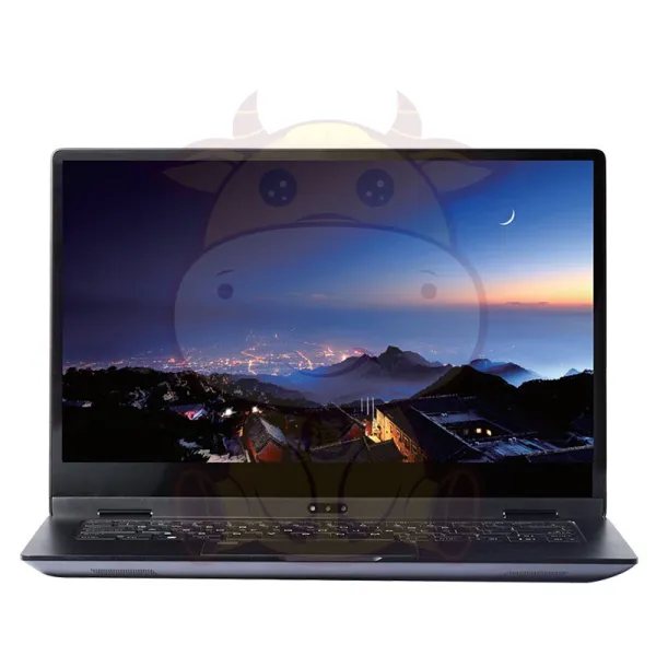 Tian YiTR4261 domestic business laptop (Tengrui D2000/8GB/256GB SSD/2G Unique Display /14 inches)
