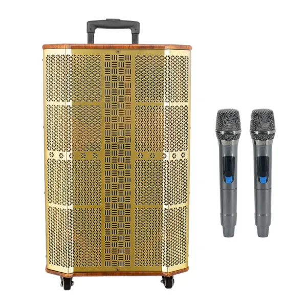 Wholesale luxury Trolley Speaker Box System gold BT Stage karaoke DJ Speaker for Microphone