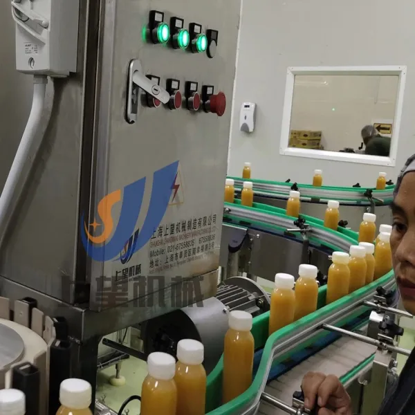 Small Scale Fruit Juice Processing Equipment Machine