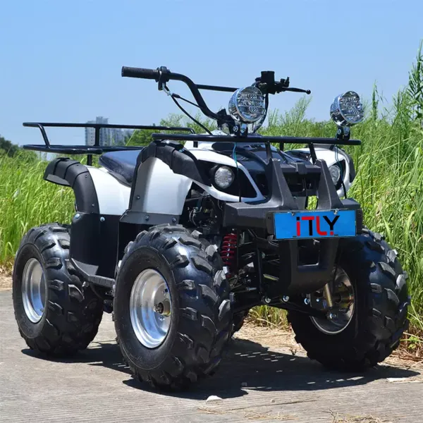 Customize Four-wheel Adults Mountain Electric ATV 125CC Quad Bike With Trailer