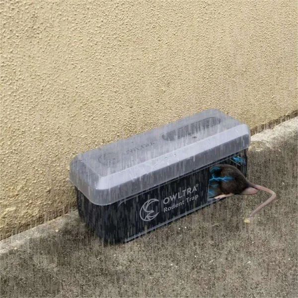 [Owltra] Control Pest High-voltage Mouse Trap Menent Rat Bait Station Smart Humane Plastic Mouse Trap