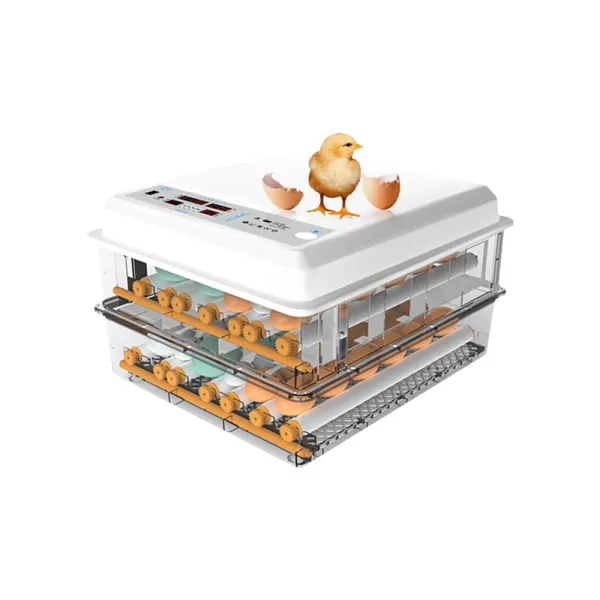 64 pcs Eggs Mini Advance Hatching Egg Incubator Fully automatic egg turning Household Incubators