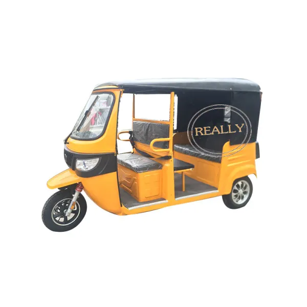 2023 Convenient Cargo Tricycle 3 Wheels for Disabled Mobile Rikshaw Electric Tricycles Scooter