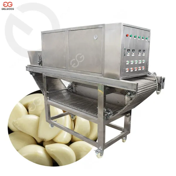 1 ton/h Industrial Garlic Peeling Machine Production Line