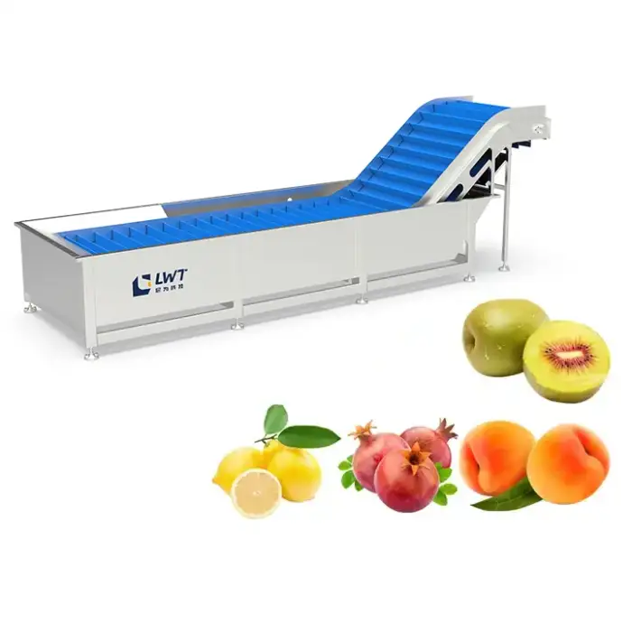 LWT Fruit and vegetables moringa leaf powder dryer machine