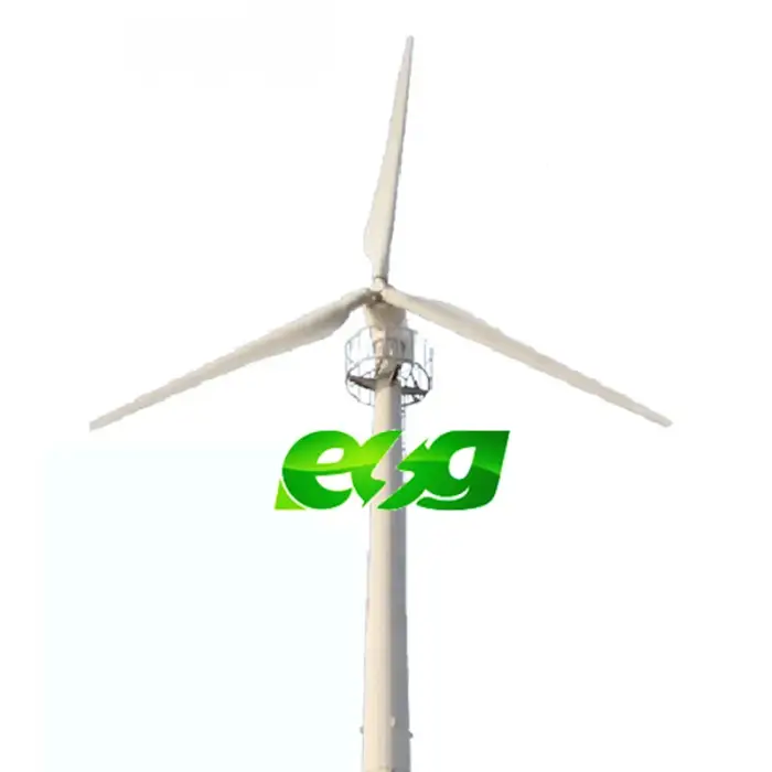 ESG High Quality Chinese 500W 600W 12V/24V/48V Home Small Home Wind Energy Turbine Generator Price