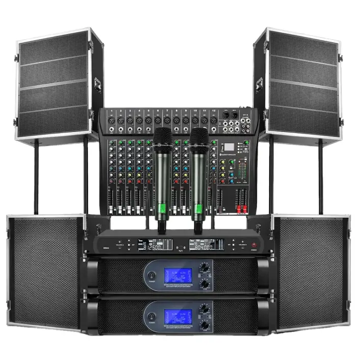Biner LS15 Dual 15 Inch 2 Channels Sound System Speaker With Professional Audio For Stage Performance