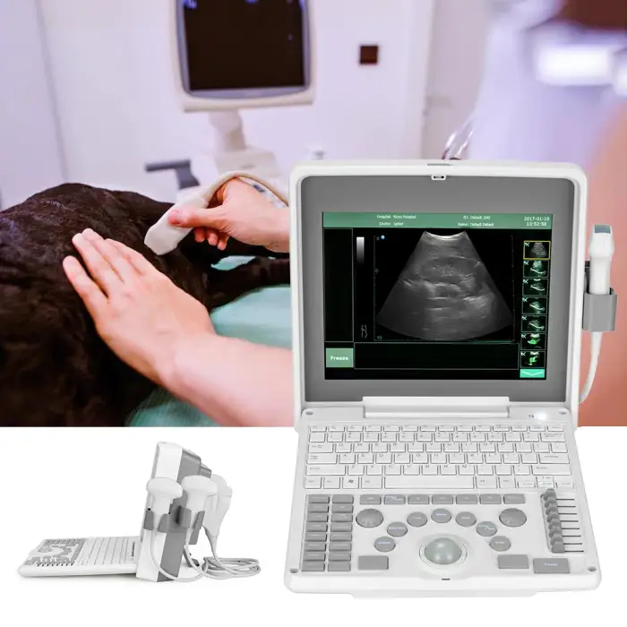 Hospital Diagnostic Ultrasound Medical Veterinary Portable Machine