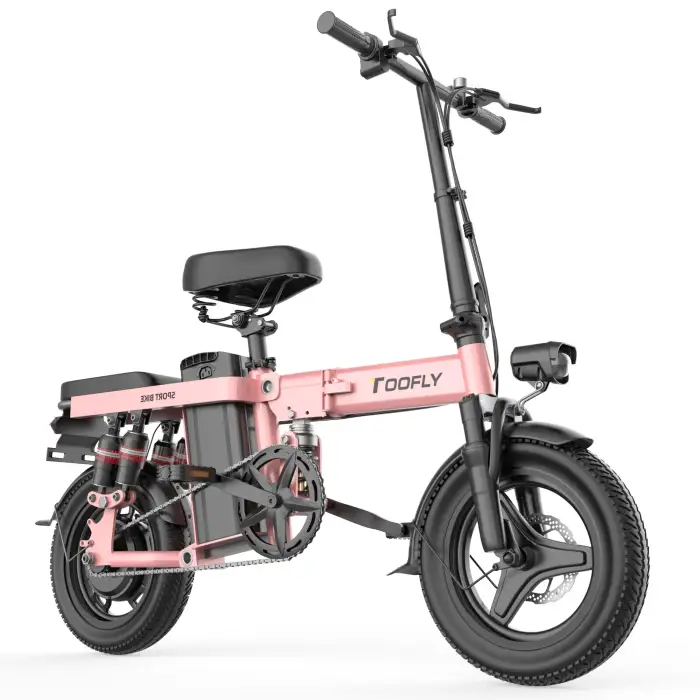 Toofly E-bike 500w city electric bicycles