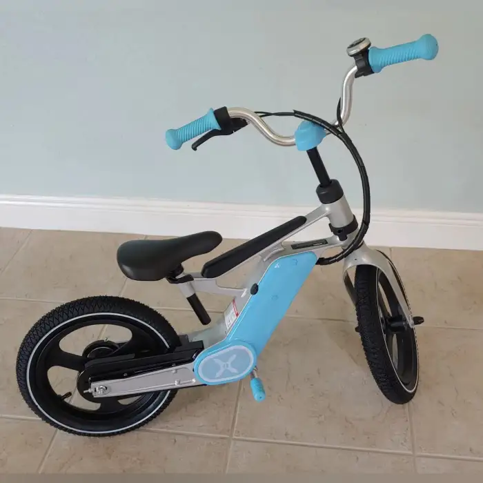 Toy Outdoor Electric Bike for Kids