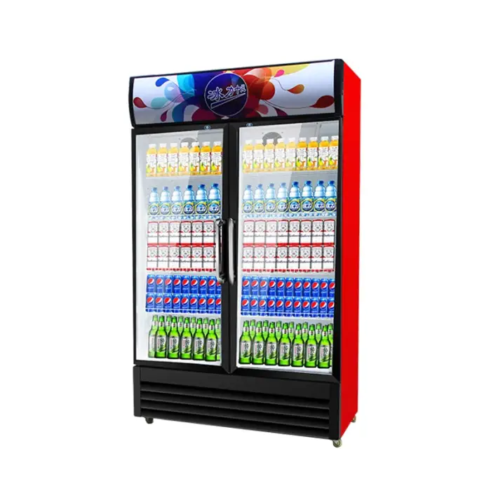 Commercial freezer display cabinet double door direct cooling refrigeration equipment