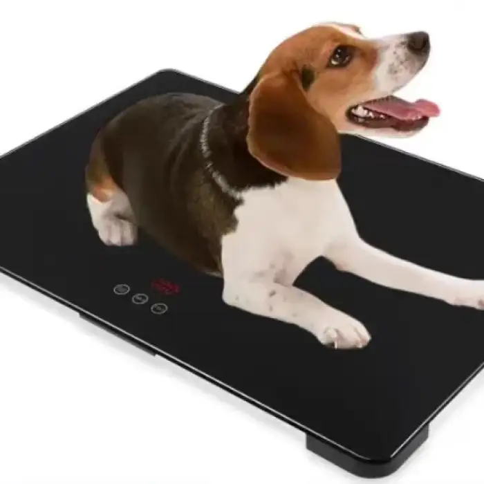 Ultra-thin electronic scales for pets stainless steel electric for pet