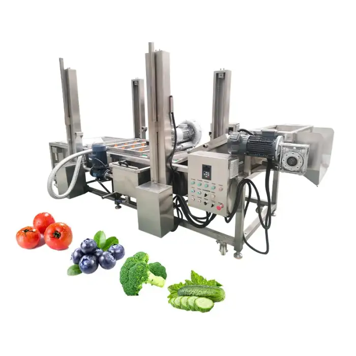 Fruit and Vegetable Processing Equipment Avocado Washing and Sorting Machine Vegetable Washing Machine