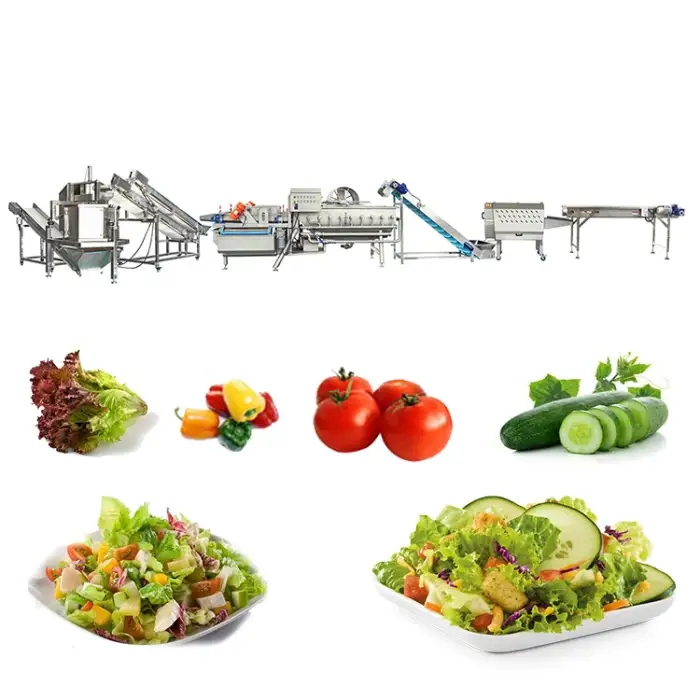 Salad Processing Line Vegetable Production Line Fruit And Vegetable Cutting Washing Drying Line