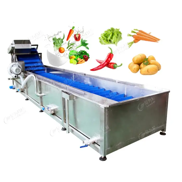 LWT Fruit Washer and Vegetable Cleaning Machine Strawberry Garlic Peach Carrot Washing Machine