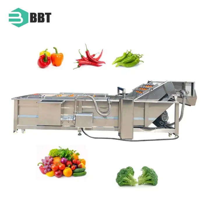 Fruit Washing Equipment Fruit Vegetable Washer Orange Apple Cleaning Machine Bubble Cleaning Machine