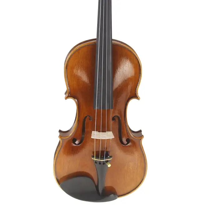 Professional Solo Violin Music Instrument