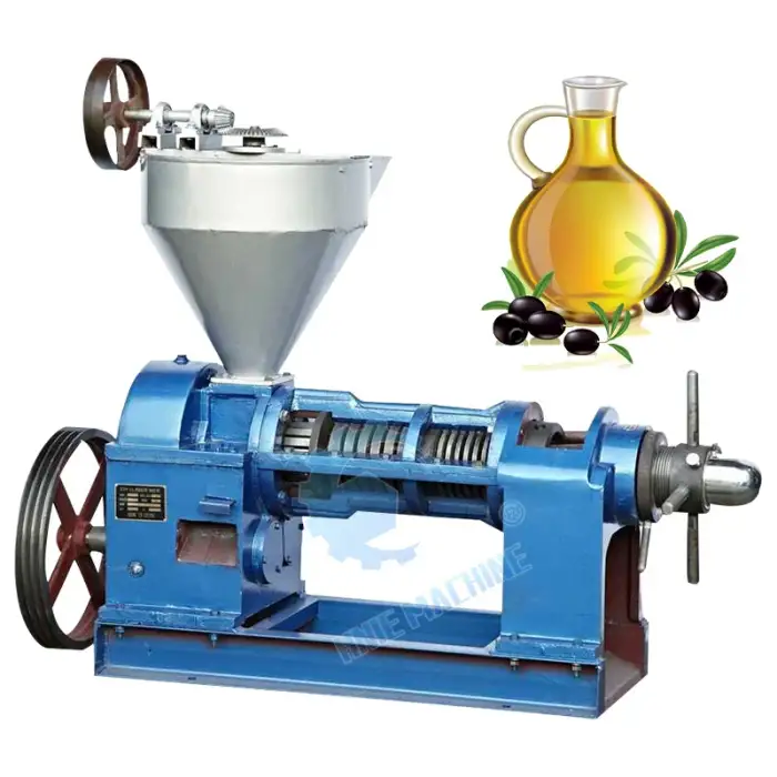 Industrial Chilli Seed Corn Maize Groundnut Avocado Oil Extraction Machine For Oil Expeller