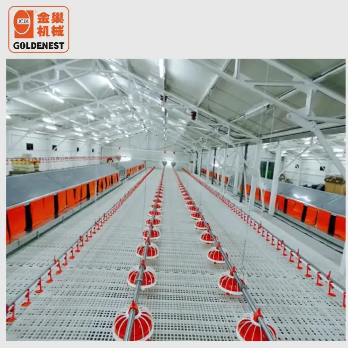 Poultry Shed Feeding line System Drinking Line Farming Equipment